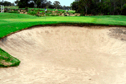 Capital Golf Course, Heatherton