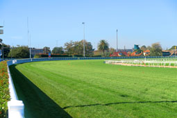 Coleraine Racecourse