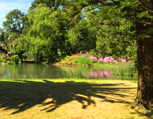 Domain Gardens, Melbourne