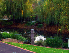 Flagstaff Gardens