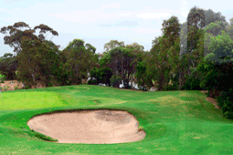 Healesville Golf Course