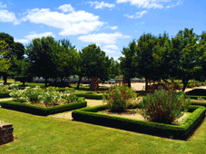 Hedgeley Dene Gardens