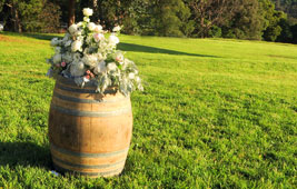 Lovegrove Vineyard and Winery