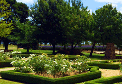 Maranoa Gardens, Balwyn