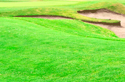 Medway Golf Club
