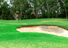 Midlands Golf Club, Ballarat