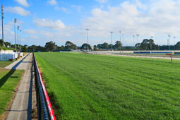 Seymour Racecourse