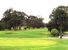 Wattle Park Golf Course, Surrey Hills