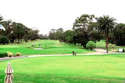 Yarra Bend Golf Course, Fairfield